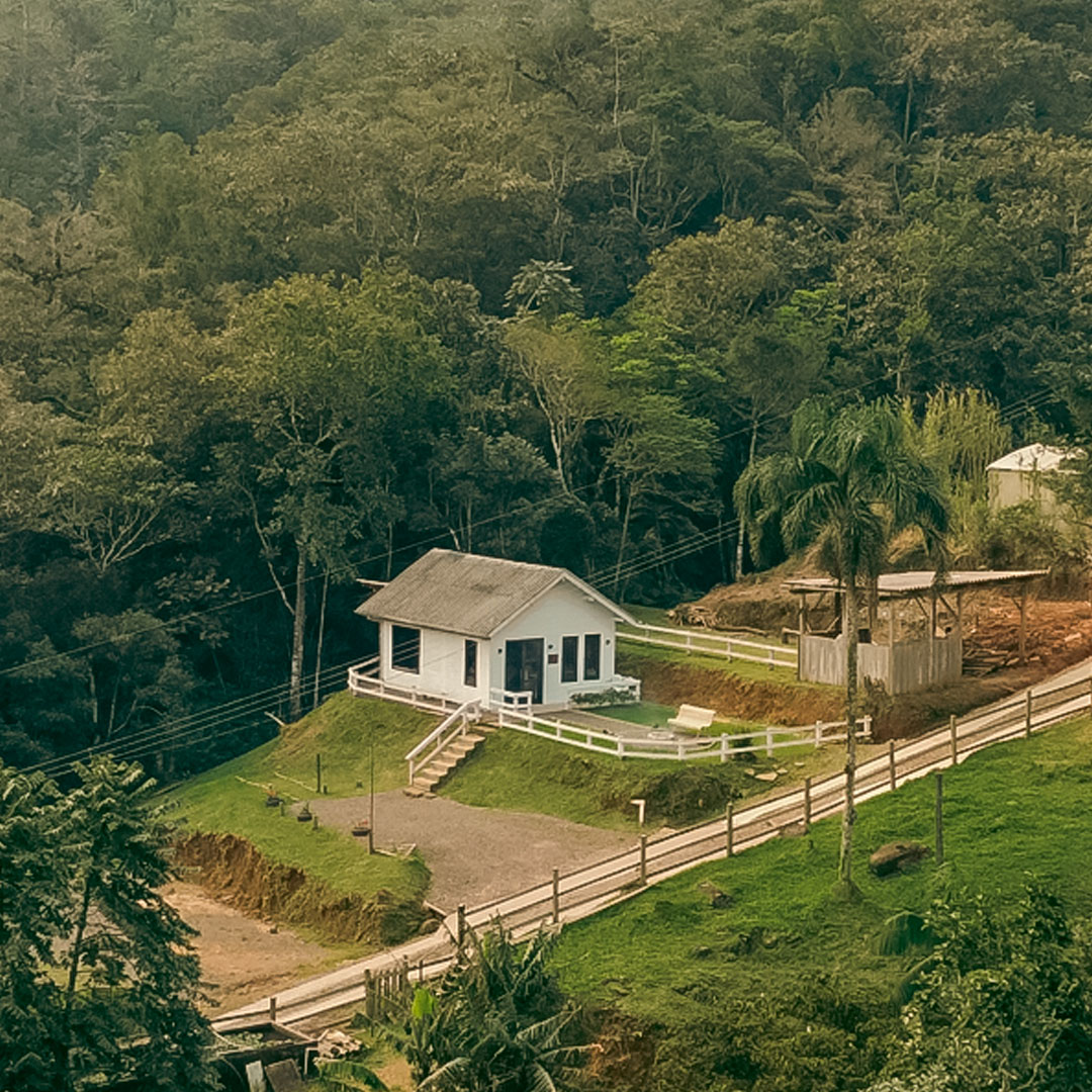 carrossel-3